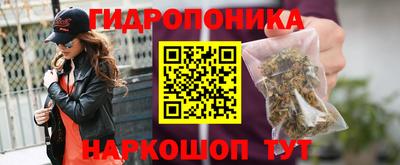 гашик Донецк