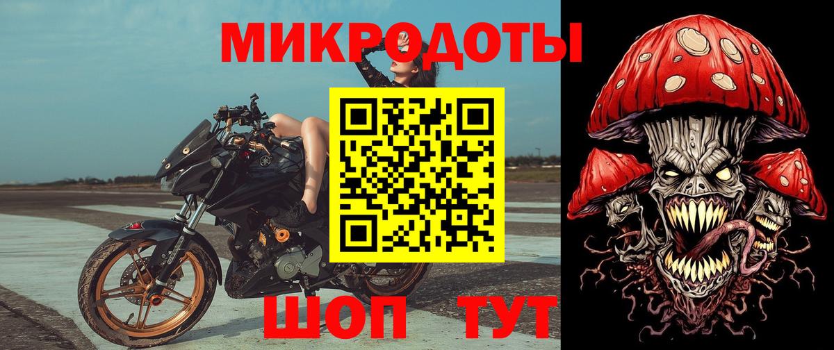 Ликино-Дулёво  Псилоцибиновые грибы Psilocybe  Вход с VPN 