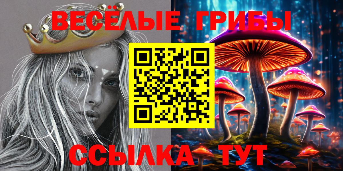Псилоцибиновые грибы мицелий Ликино-Дулёво